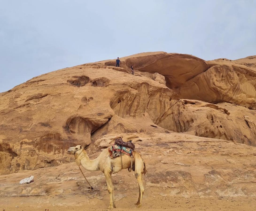 Wadi Rum Hugo Camp Ngoại thất bức ảnh